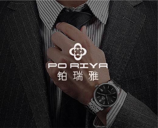 表業(yè)公司網(wǎng)站設(shè)計(jì)|深圳鑫鉑瑞雅